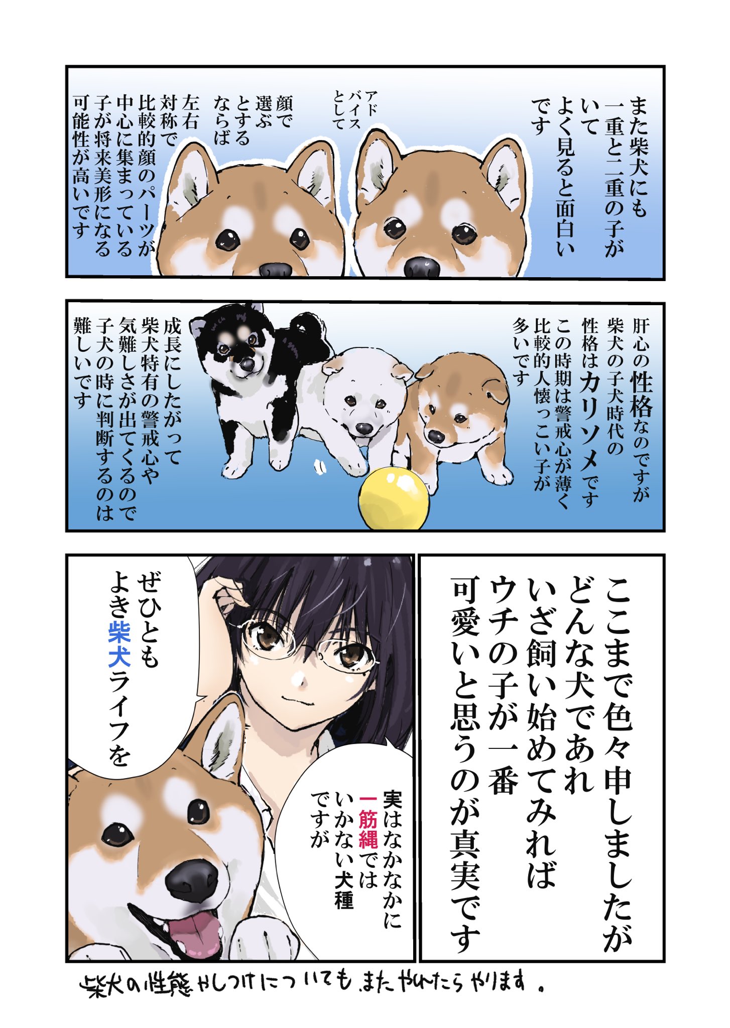 石原 雄 柴犬を飼うことを検討してる方へ 柴犬の子犬選びについての話 石原 雄 柴犬を飼うことを検討してる方へ 柴犬の子犬選びについての話