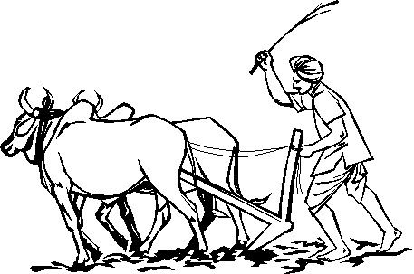 AnilDodia3's tweet photo. I always support farmer's https://t.co/uEsz5bN5Ph