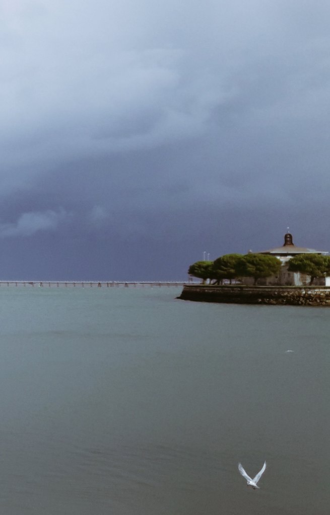 Apez140's tweet photo. #Momentos
De ayer en la Bahía.
Uno de los pocos en que cesó la Lluvia y con un Brillante Sol de Brujas luciendo entre las Grises Nubes, que unos #Charranes aprovecharon para buscar #Presa en sus feraces Aguas..🧚‍♂️😎 https://t.co/HADeCDDmbX
