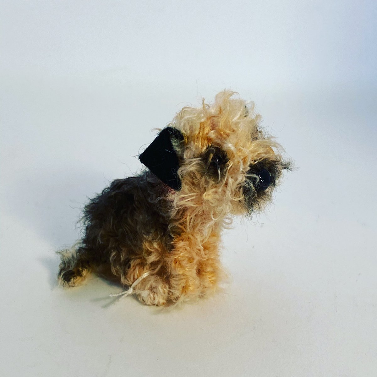 Sarah Strachan tweet media