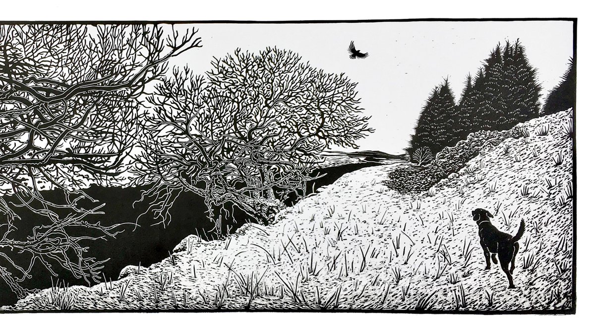 Original handmade linocut prints for sale. 'Glen Isla' is a winter scene set in the Cairngorms National Park in Scotland. The full image size is 78cm x 28cm, printed with relief ink onto Heritage 135gsm paper. Shop online at: gregorymillarart.com
#artforsale #rsgcommunity