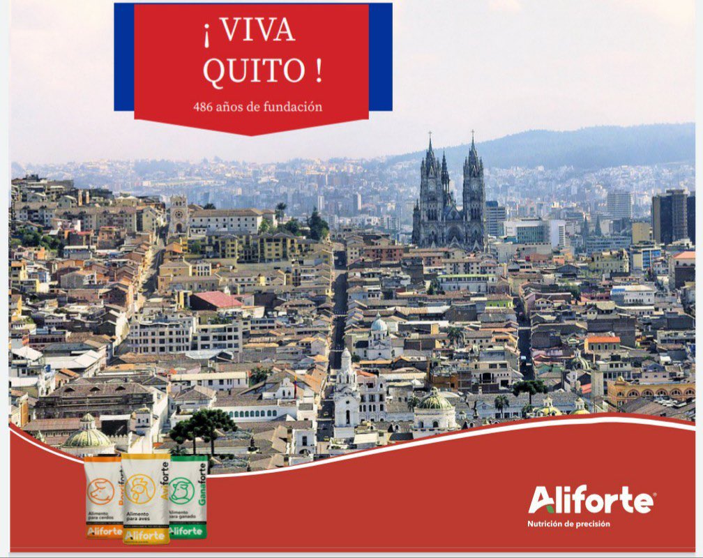 aviforte's tweet photo. Que viva Quito https://t.co/gvZWKnokzq
