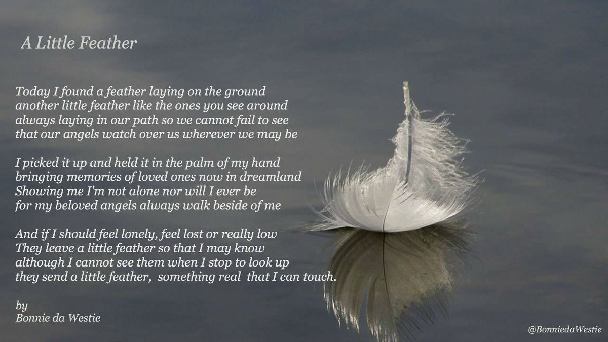 I wrote this a few years ago to give comfort to aynone who has lost someone very special in their lives, whether that be a human or animal. I hope it helps if you need some comfort now.
Its only this earthy dimenson we cannot see or touch them,  they are still with us.