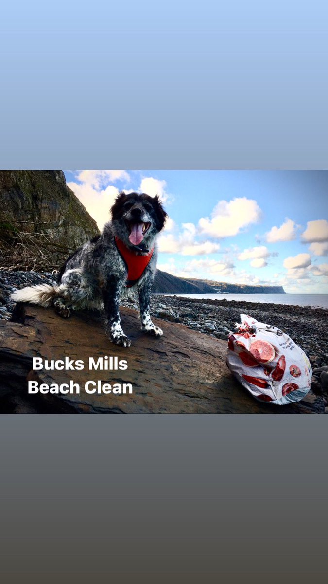 Beautiful day for a stroll on the beach, bag in hand for a <a href="/2minbeachclean/">2 Minute Beach Clean</a> @PlasticFreeND @explorethecoast