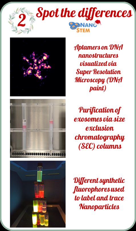 nanostemMSCA's tweet photo. NANOSTEM #AdventCalendar 2020 is here ❄️🎄 follow us to see every week amazing photos of our work with a nice Christmas touch 🎅☃️ Here is week 2: nanoscale! 🧪 #MSCA #Science #NANOSTEM #PhD #Christmas https://t.co/F8UlE5teqz