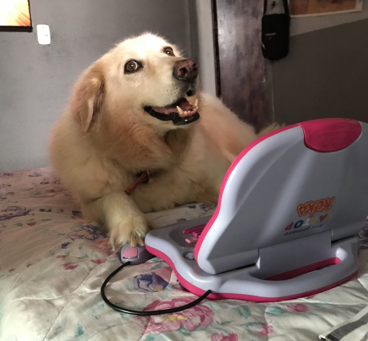 mirellawho's tweet photo. Minha filha adorou a herança https://t.co/RnWlIg2BS3