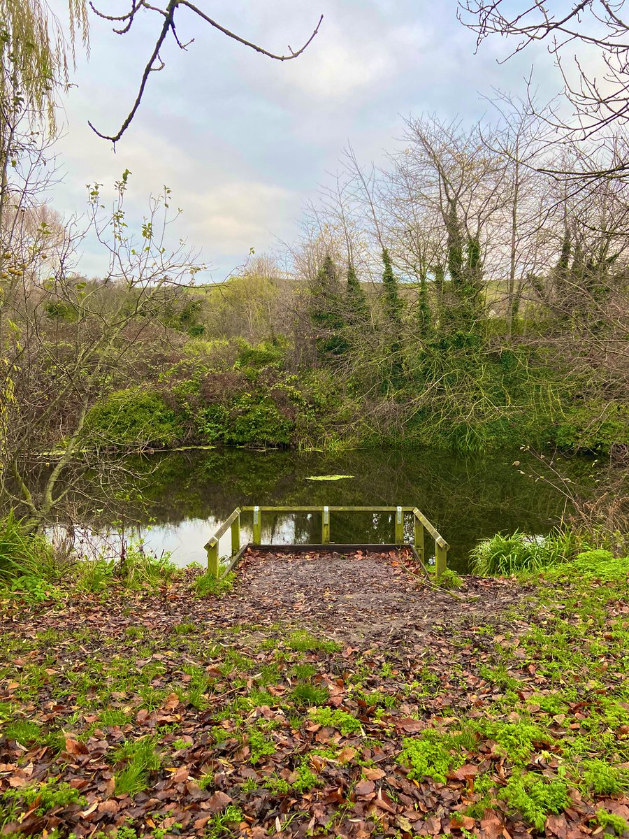 DollyHPN's tweet image. Morning 3 miles done before work 🥾 

Thank you @Unit1H for my very early morning coffee fix ☕️🎄

#walkinwinter #winterwalks #outside #getoutside #WinterIsHere