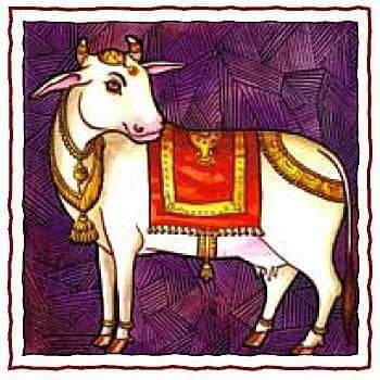 14. Gau Mata or Cow'Gau,' the cow, is a symbol of the earth, the nourisher, the ever-giving, undemanding provider. To the Hindu, all animals are sacred, and we acknowledge this reverence of life in our special affection for the gentle cow. @sharma_Deepak45  @darpanban