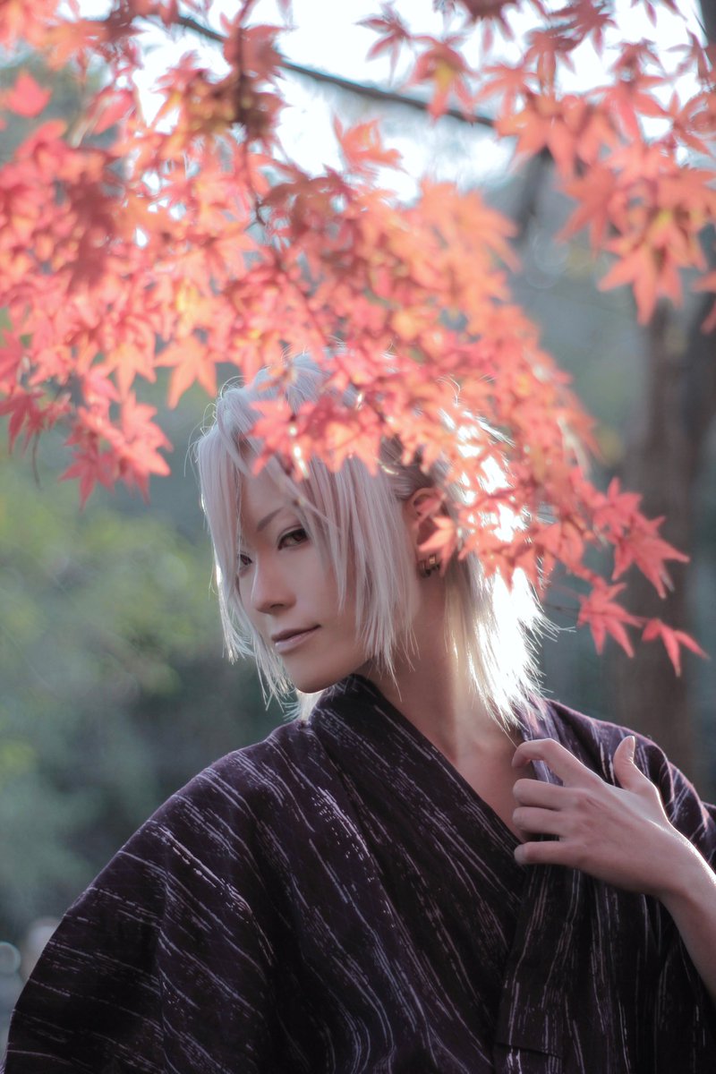 mi___Ku0215's tweet photo. 【コス】
天元様で紅葉撮影してきた！💎🍁✨
天気も良くて木漏れ日で優勝した！🏆

1枚目🍁Photo by》せっちゃん https://t.co/z6JtZ1e58b