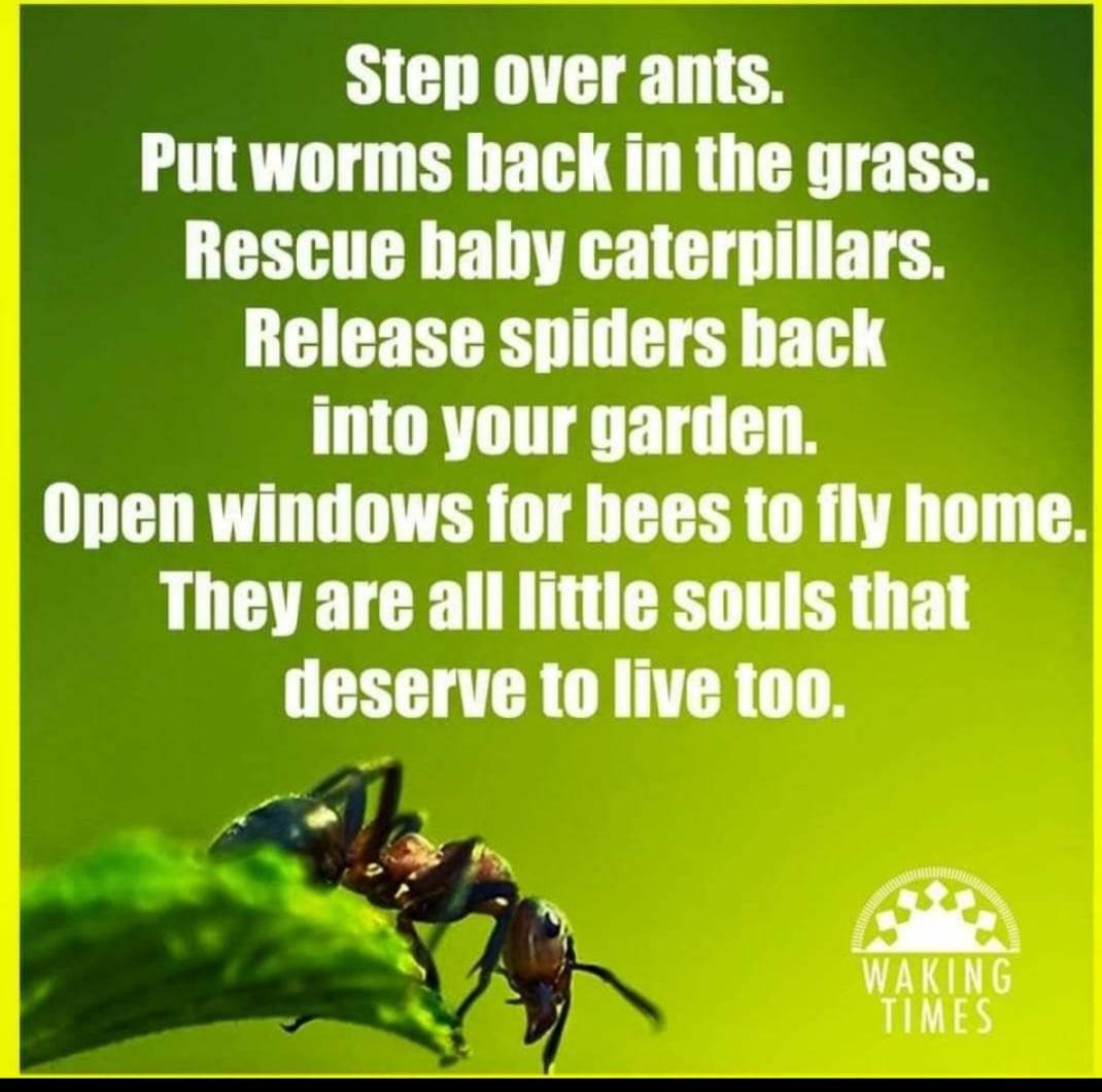 envirokids's tweet photo. https://t.co/Xfa1wkgv7m