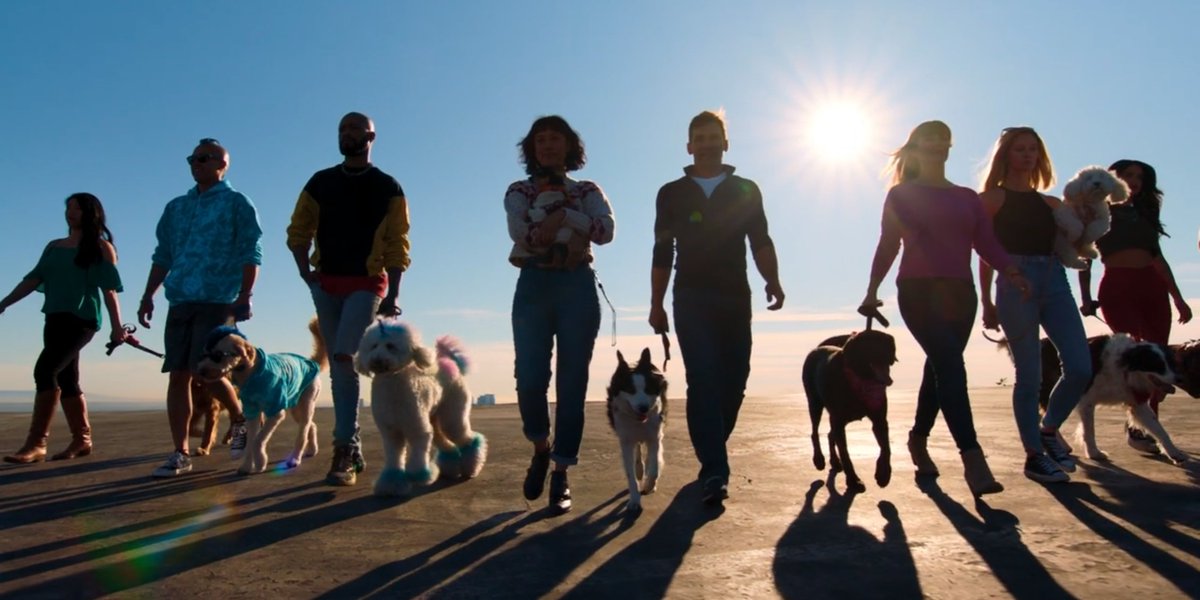 Amazon Prime Video プライムビデオ در توییتر ザ パック 愛犬と挑むドッグレース 配信中 強い絆 で結ばれた犬 と飼い主 が 世界の絶景を舞台に繰り広げるドッグレース どんな勇姿をみせてくれるのでしょうか ザパック Thepacktv Amazon