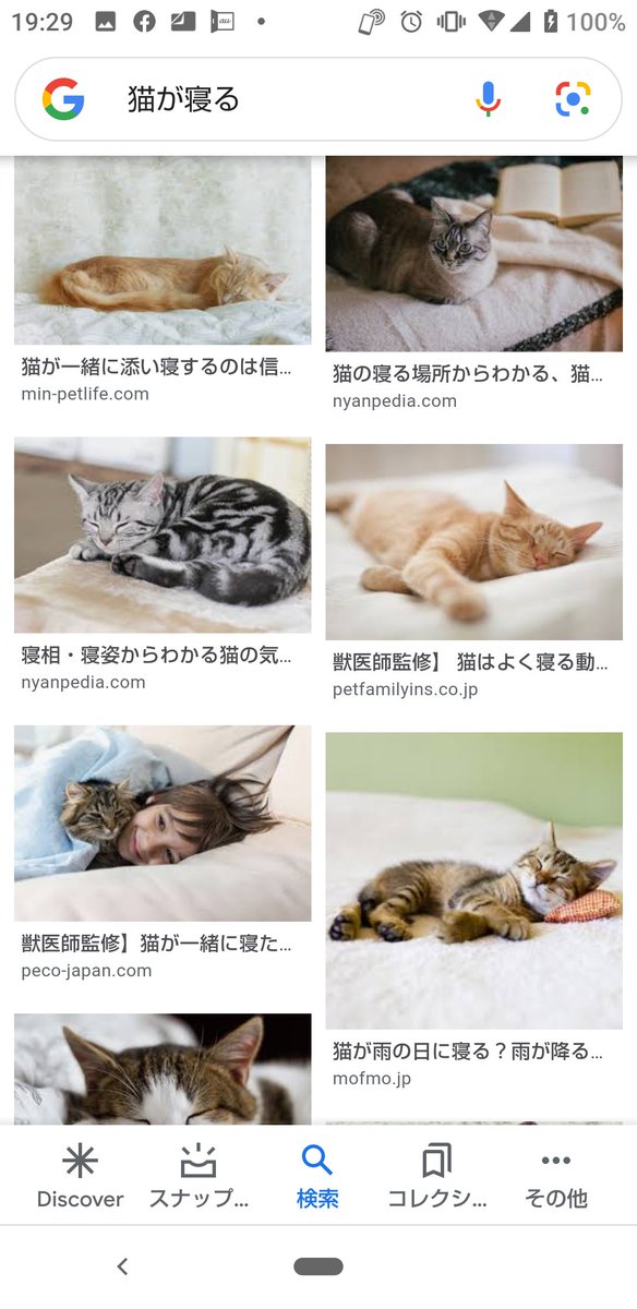 19740329ko's tweet photo. @ASrV5maSxyAcAMS 猫が寝る( ꈍᴗꈍ)
#mindtrue
#猫が寝る https://t.co/DPYLHpn6uF