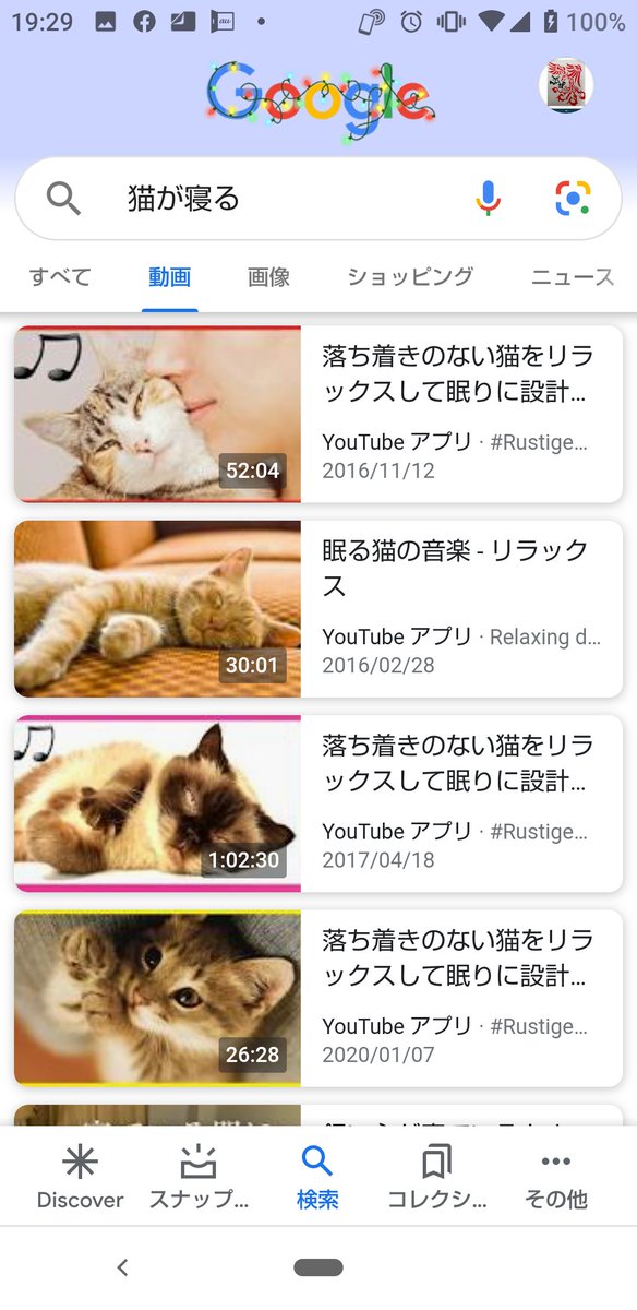 19740329ko's tweet photo. @ASrV5maSxyAcAMS 猫が寝る( ꈍᴗꈍ)
#mindtrue
#猫が寝る https://t.co/DPYLHpn6uF