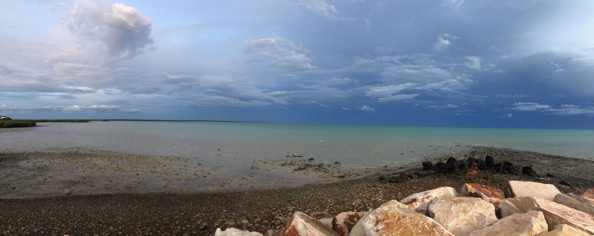 Panda Gardner tweet media