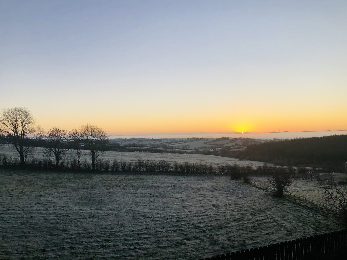 colmpbuggy's tweet photo. Sunday morning #smugpic https://t.co/n7ePTxNG12