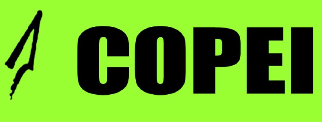 This happened to the opposition parties, Acción Democrática (AD), Voluntad Popular (VP), COPEI and Primero Justicia (PJ) although PJ were given back control of their party by the TSJ but they still boycotted.