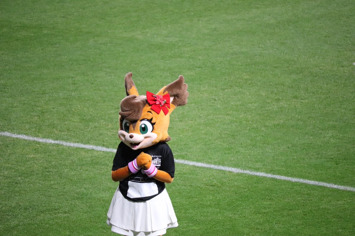 Haischlib ブリスキーザベアー Ar Twitter Haischlib ブリスキーザベアー Ar Twitter