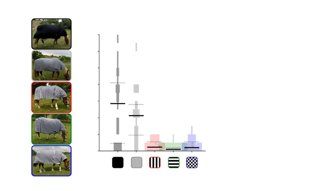 Do #zebras have stripes to confuse blood-sucking (<a href="/bloodSparasites/">Bloodsucking Parasites</a>) #insect #pests? Read about the fascinating experiments done at the School of Biological Sciences, University of Bristol (<a href="/BristolBioSci/">University of Bristol Biological Sciences</a>) - doi.org/10.1098/rspb.2…