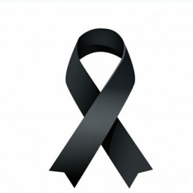 Laura Motta (@lauramotta_11) on Twitter photo 