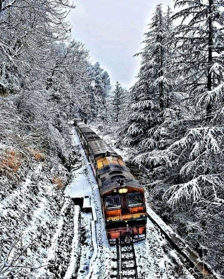 BijayCbi's tweet photo. कालका से शिमला ट्रैन,
हिमाचल प्रदेश।
Kalka Shimla Train HP.
Dm for credit photo.
#india_travel_tourism
#manali
#himachal
#shimlatourist
#mountains
#trees
#AdventureTime
#snowtop
#snowlife
#manalidiaries
#manalitravel
#manalitrip
#manalitourism
#himachal
#himachalpradesh https://t.co/bRVuTtF1qR