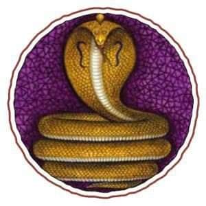 32. The 'Naga' or CobraNaga, the cobra, is a symbol of 'kundalini' power, cosmic energy coiled and slumbering within man. It inspires seekers to overcome misdeeds and suffering by lifting the serpent power up the spine into God Realization. @RadharamnDas  @RadhikaSA3