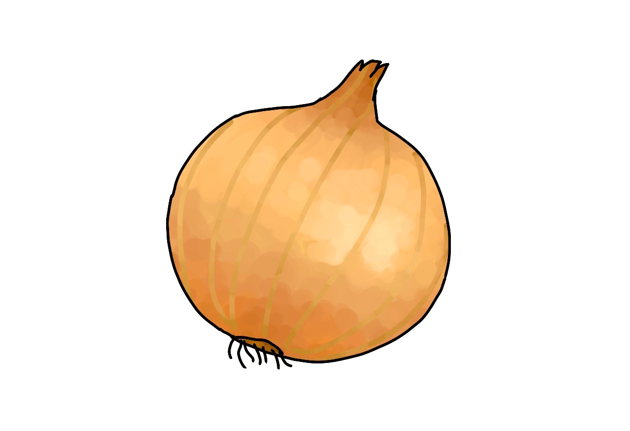 毎日イラストイタリア語 玉ねぎ Cipolla チポッラ Vestirsi A Cipolla 玉ねぎのように服を着る で 重ね着をするという意味になります 何層にも重なった服を玉ねぎの皮に例えるなんて面白いですね イラスト イタリア語 T Co P3ginwfeai