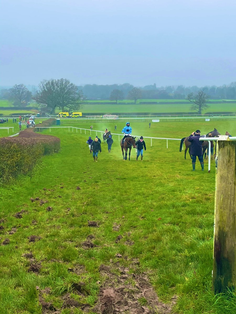 TattsCheltenham's tweet photo. Congratulations to @GandTRacing on winning the fourth in the The #TattersallsCheltenham 4 &amp; 5 yo Maiden Series with Harper’s Brook. This is also the first 4 yo only race in the series too! Congratulations to all connections and all who took part. #GoPointing https://t.co/cUtxDQyB4U