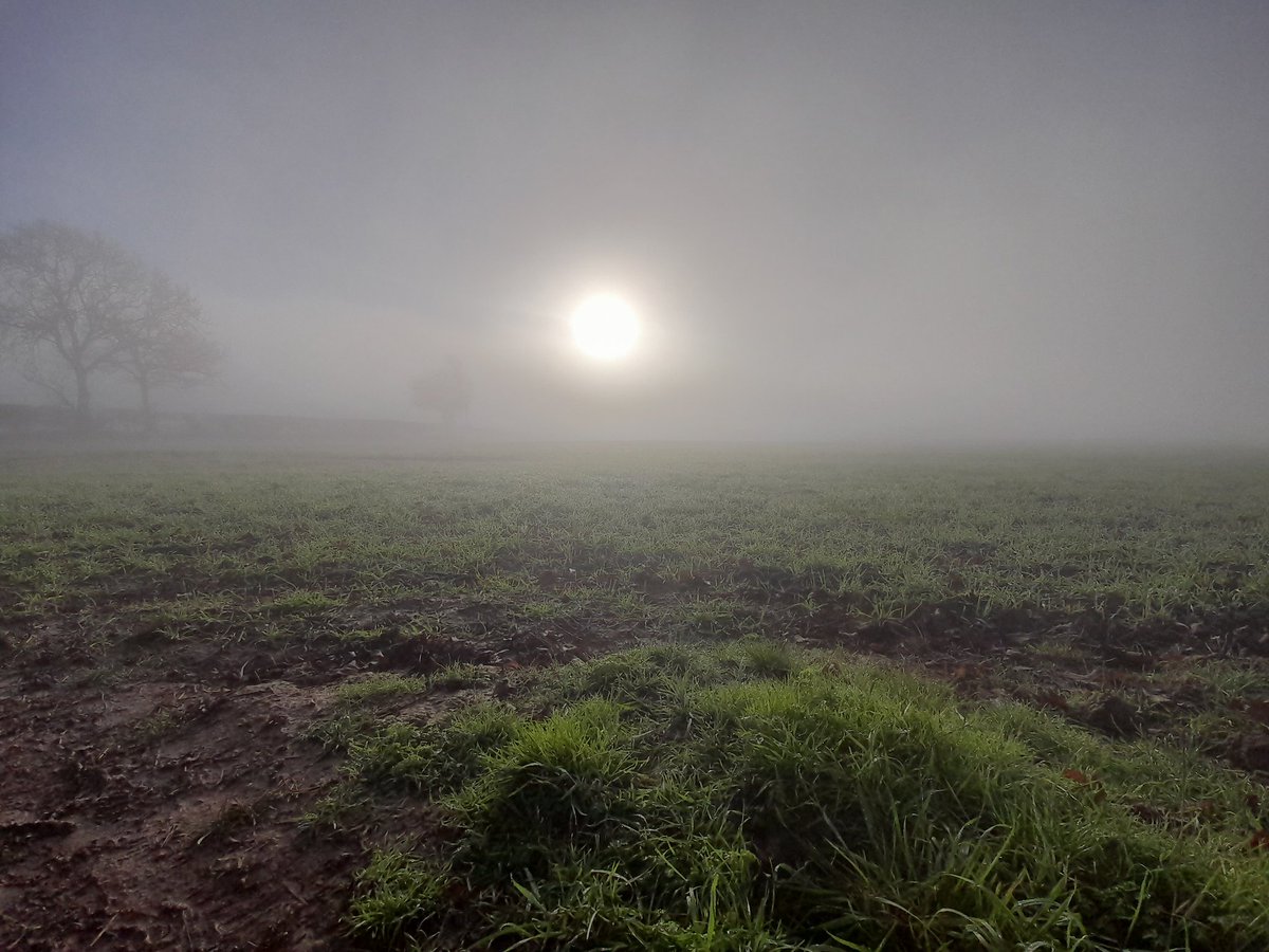 RunFerro's tweet photo. Up and out in the thick fog (and mud) this morning to add to my #RU2C miles #RU2CEarlyBird https://t.co/HSXBKk45p7