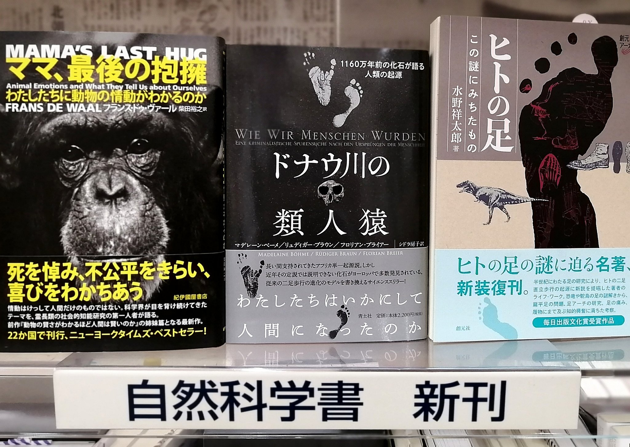 くまざわ書店 四条烏丸店 はい ガメ オベールの日本語練習帳 置きます いつも青土社さんの新刊はもれなく仕入れておりますので ご利用いただければ幸いです ちなみに 青土社さんの最近の新刊では ドナウ川の類人猿 が売れ