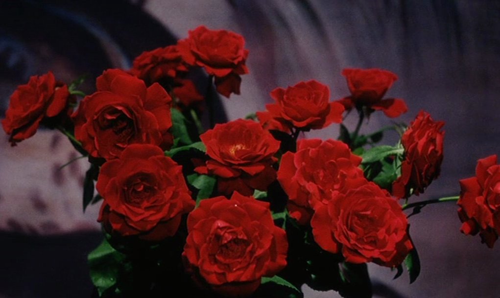 LovableJinx's tweet image. #EllenMalfoy.