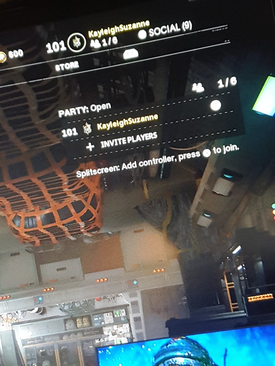 KayleighSuzanne tweet media