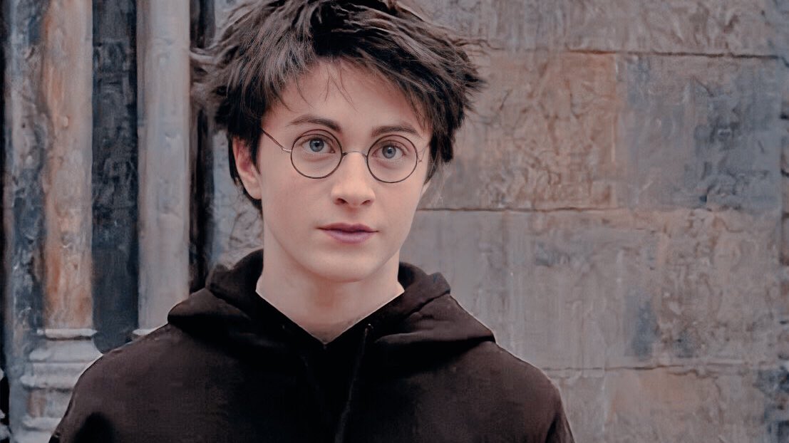 Harry potter Ozon