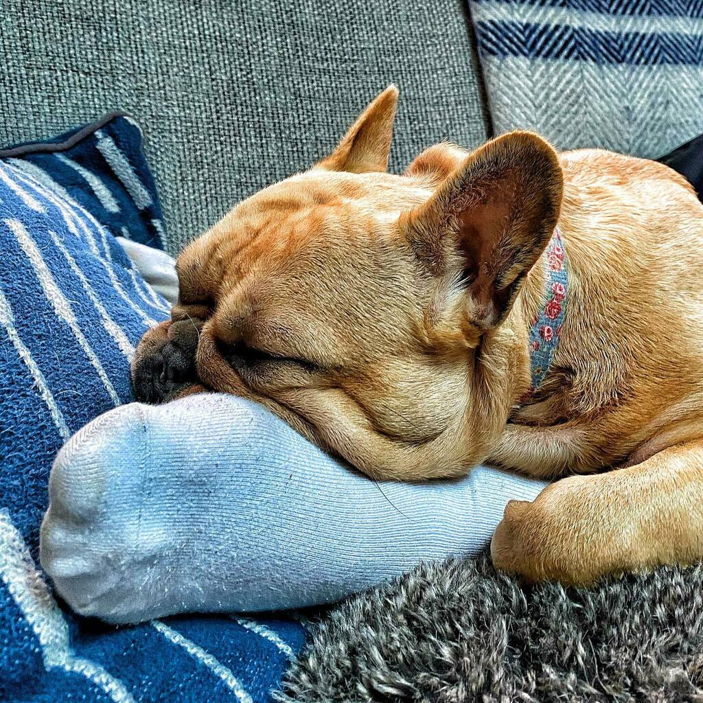 Stephen Rush tweet media