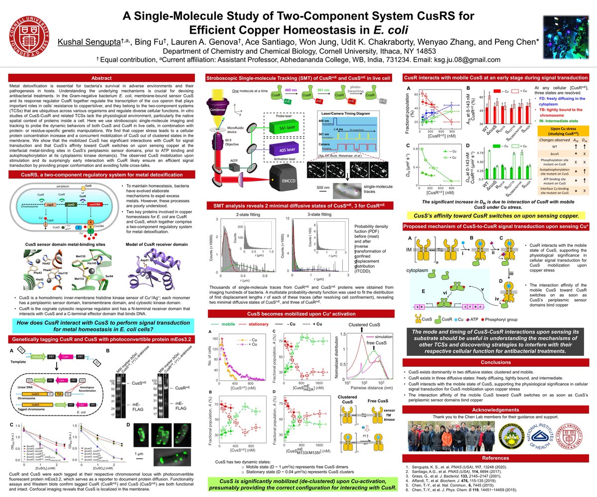 Proud to share my work on single-molecule experiments to study protein-protein interactions in metal homeostasis in living bacteria cells at <a href="/ChemSci_IISERK/">ChemSci2020</a> .
My postdoctoral work at <a href="/CornellChem/">CornellChemistry</a> 
Looking forward to discussions and questions #chemsci2020poster #TechChem