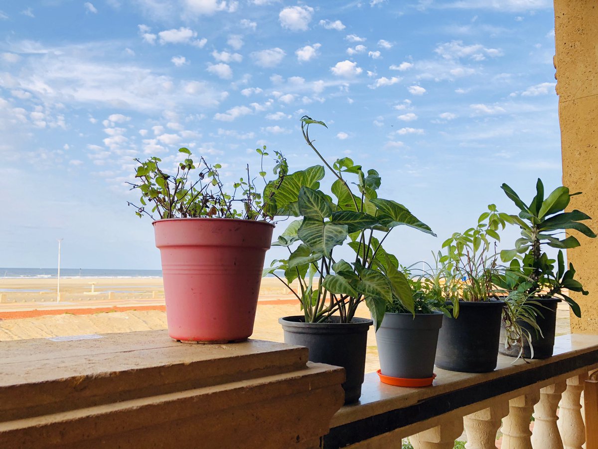 shrouk_arab's tweet image. كل ما بنتأمل أكتر حوالينا كل ما بنكتشف قد ايه ربنا أبدع في خلقه فعلاً 🤍💚