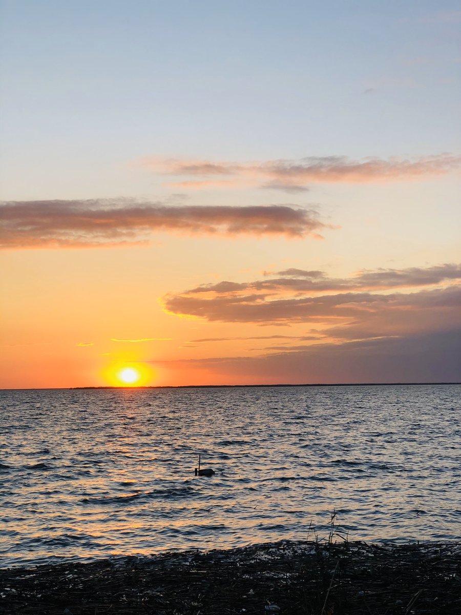 shrouk_arab's tweet image. كل ما بنتأمل أكتر حوالينا كل ما بنكتشف قد ايه ربنا أبدع في خلقه فعلاً 🤍💚