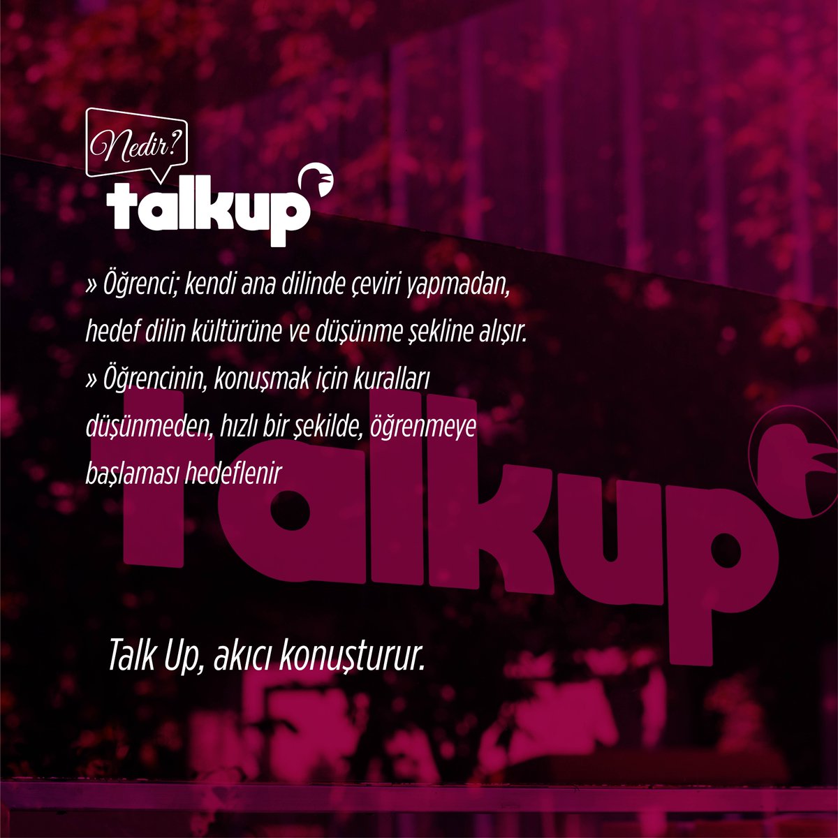 Peki Talk Up nedir ve neler yapar? 

#englisheducation #speakingclub #nomoregrammar #languagelearning #ingilizcekonuş #konuşarakilerle #duykonusgör #businessenglish #kurumsalingilizceeğitimi #makesyouspeakit