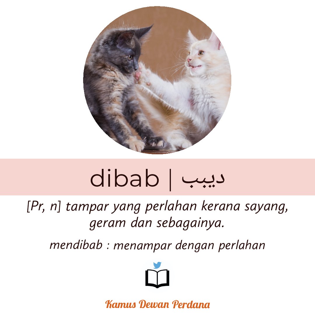 adibacakamusje's tweet photo. Hai kalian,
Kosa kata hari ini : dibab, mendibab
#KosaKataMelayu #dibab #tampar #perlahan https://t.co/l6Nw0KRyXg