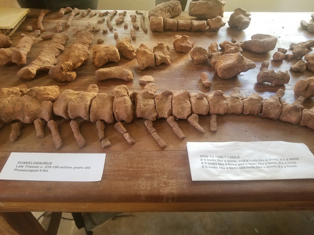 PTChimusoro's tweet photo. Did you know: Some dinosaur remains were found in Beitbridge, Zimbabwe at Sentinel Ranch. The remains are said to date back to approx a 200 million years ago, making it a place of great interest to archaeologists. https://t.co/e0wNnNJHil
