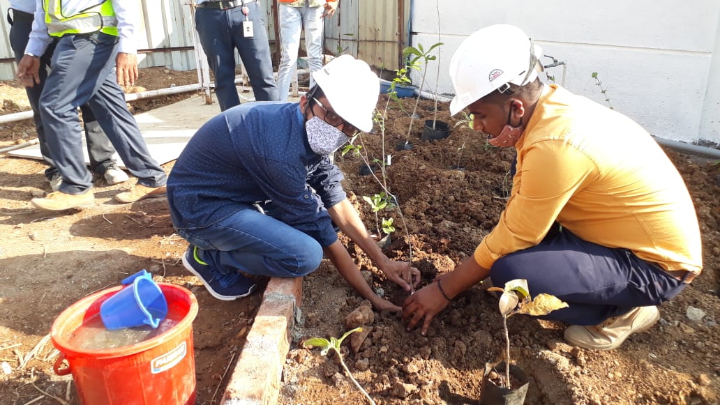 afforestt's tweet photo. Forest at your door step!!

Plantation at one of our site in Mumbai.
@jpinfra

#JPInfra
#urbanforests #forestation #forestscaping #forests https://t.co/kU4GzkJDxA