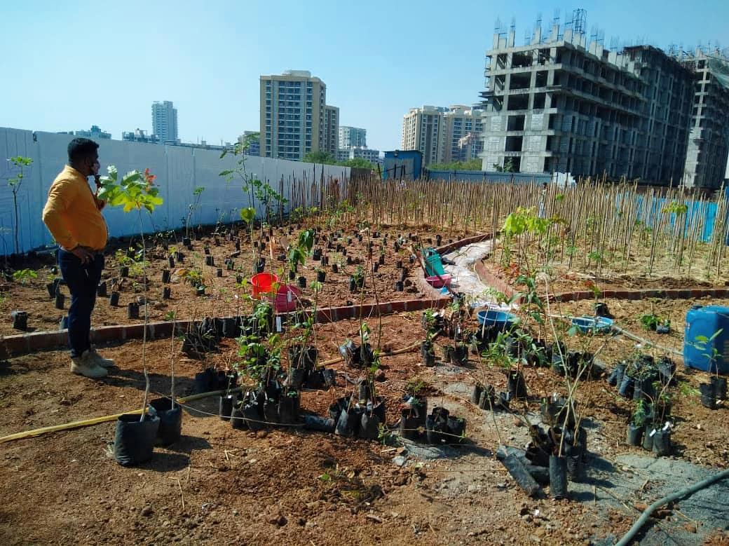 afforestt's tweet photo. Forest at your door step!!

Plantation at one of our site in Mumbai.
@jpinfra

#JPInfra
#urbanforests #forestation #forestscaping #forests https://t.co/kU4GzkJDxA