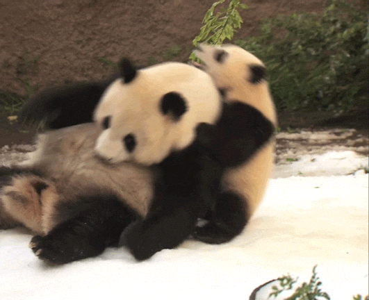 @AngelTemptsYou https://t.co/WkfBU5P6Du<a class="tags" href="/tag/angeltemptsyou">@angeltemptsyou</a><a href="/tag/wutangclan"class="tags"><span>#wutangclan</span></a><a href="/tag/eroticaudio"class="tags"><span>#eroticaudio</span></a><a href="/tag/audioporn"class="tags"><span>#audioporn</span></a>