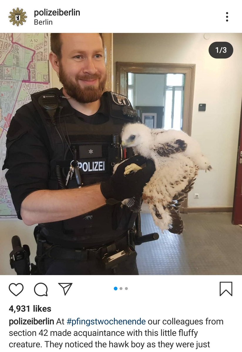 According to their Instagram feed, being a police officer in Berlin seem to involve a disproportionate amount of time dealing with good (and bad) floofy bois
