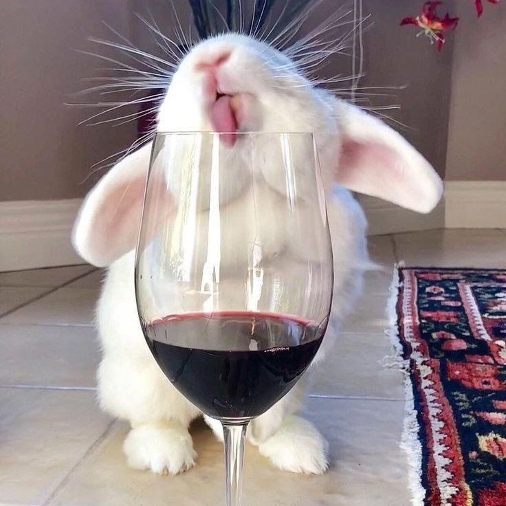 Kim Minji a bunny: thread