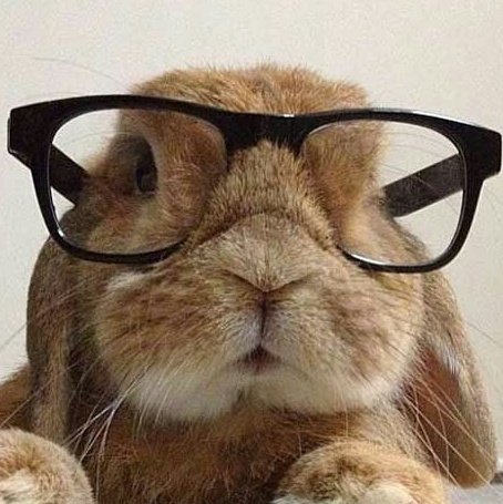 Kim Minji a bunny: thread