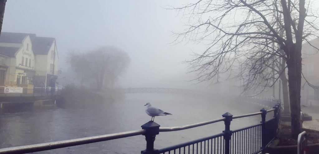 Le brouillard c'est emparé de Sligo :)
Jai regretté de ne pas avoir mon appareil photo !

🇨🇮 A fogy Sligo is so mystic...

#Ireland #irishdaily #littlepieceofireland #sligo #fog #MysticSligo #travel #traveltoireland