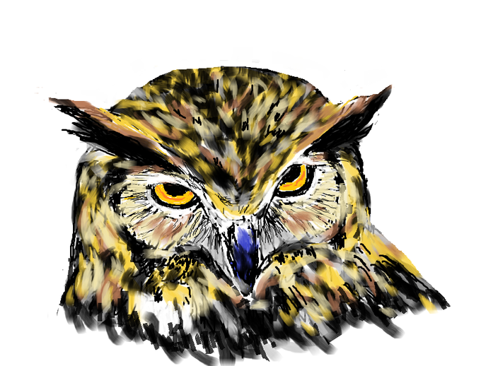 ミミズクのtwitterイラスト検索結果