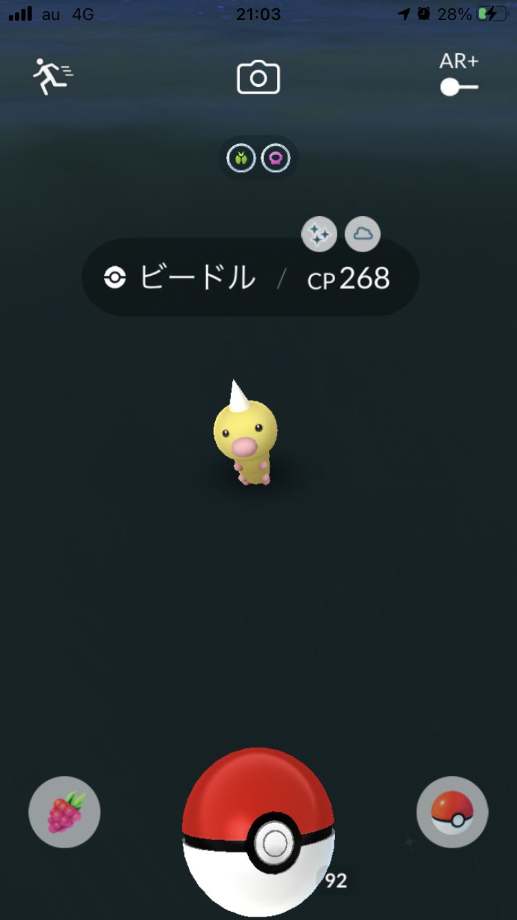 ひろっち94 Hirocky118 ポケ活 大阪 金沢 東京 ここ2日の結果 めっちゃ嬉しいイーブイとユキノオーの色違い ユキノオーかっけーーーーわ ビードルはまたかって感じだけどありがたやー ポケモンgoフレンド募集 ポケモンgoレイド 色違いイーブイ