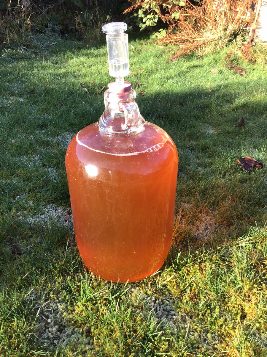 My first ever amateur #keeve of mostly cv #Dabinett apples from the Gogerddan Orchard, racked on a perfect cold high pressure December day. Cap brun looks a bit holey, juice clear, prickly, sweet and tannic (1.010; 5.1%) - fingers-crossed #cidre #capbrun #cider