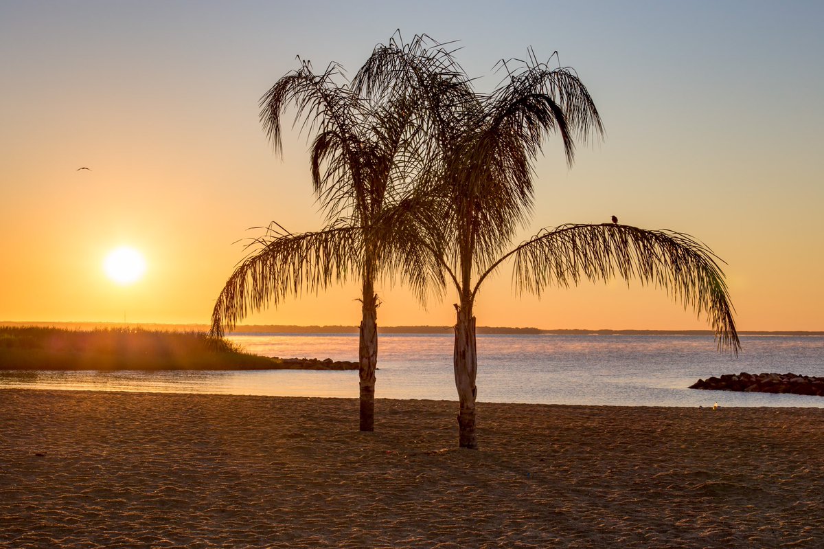 Sitting by the fire and thinking of those @VisitVirginia palm trees. Yes, @VisitCBVA has palms to enjoy... after the tiki bar of course. #sunrise #SundaySunsets 

@always5star @RoarLoudTravel @_sundaysunsets_ @MadHattersNYC @LiveaMemory